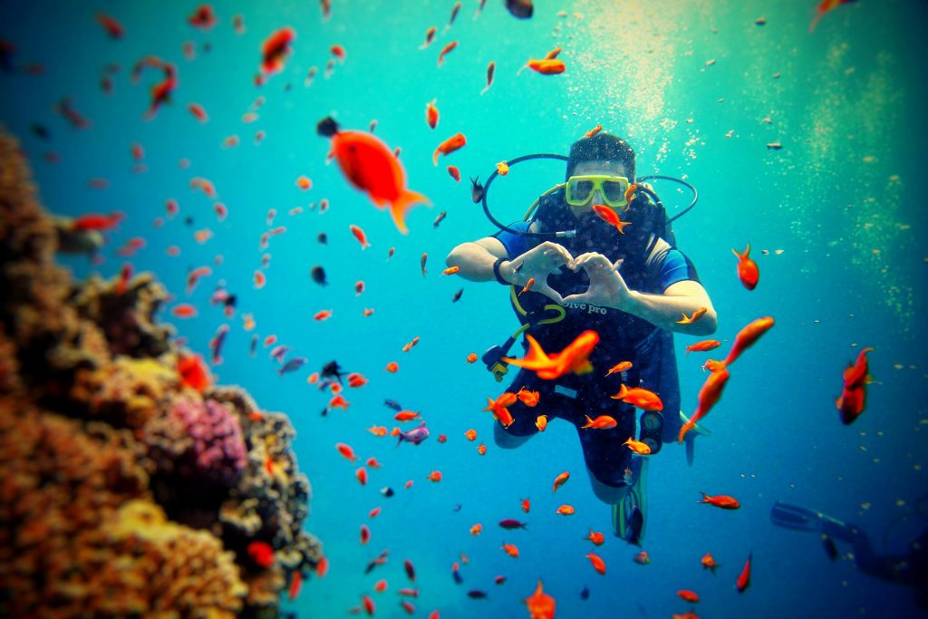 Scuba diving travel insurance ensures safe underwater adventures