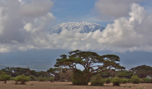 The rugged slopes and varied climate zones of Mount Kilimanjaro, illustrating the extreme conditions that make travel insurance for Kilimanjaro essential.